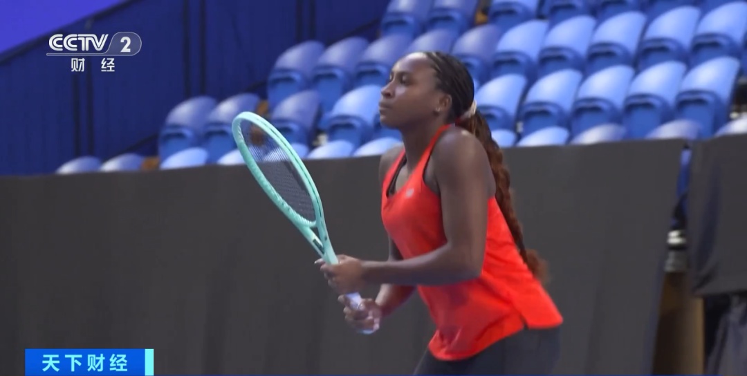 板式网球 板式网球