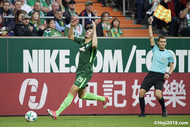 了一份绚丽 了一份绚丽